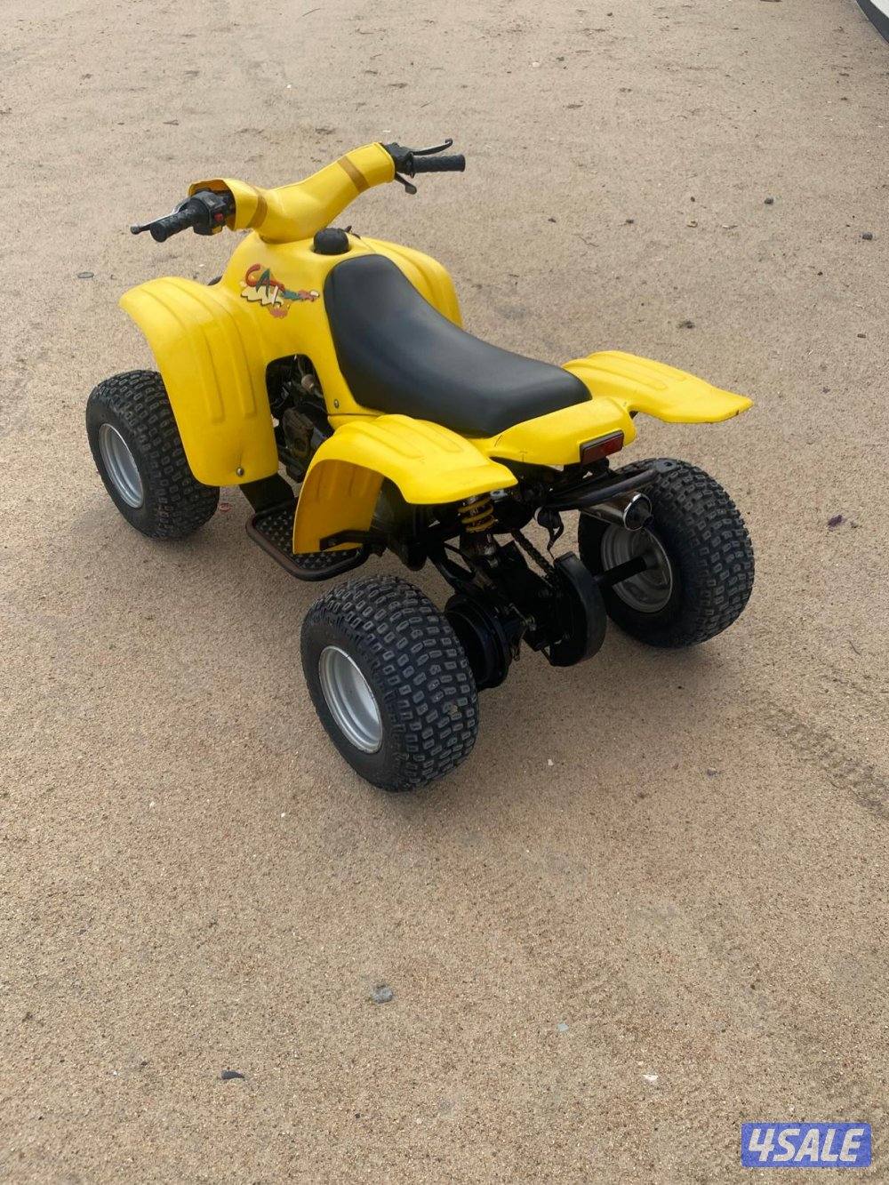 العميري سلف وهندال1