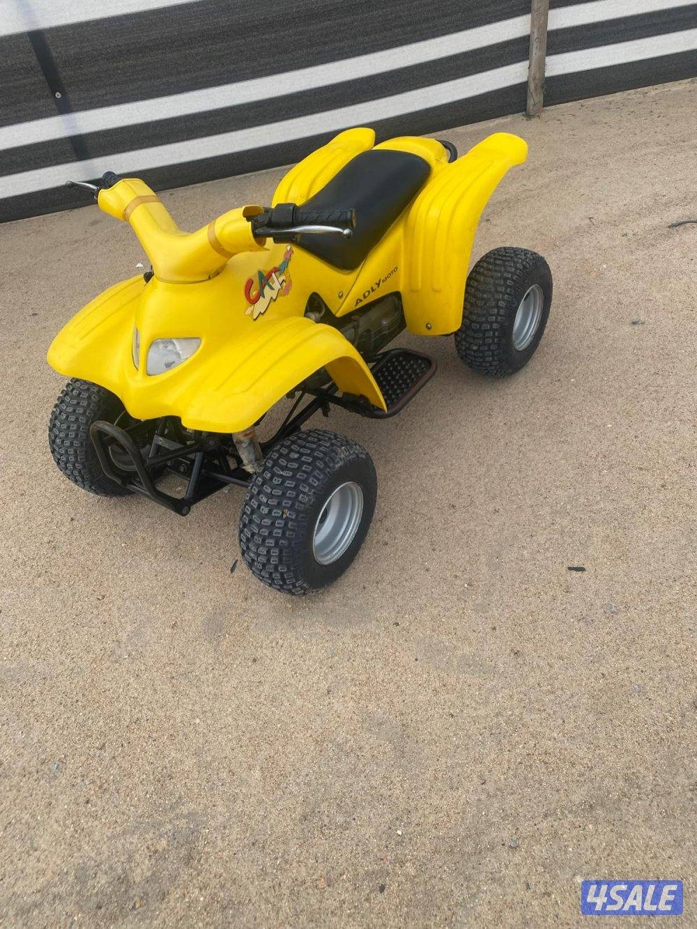 العميري سلف وهندال4