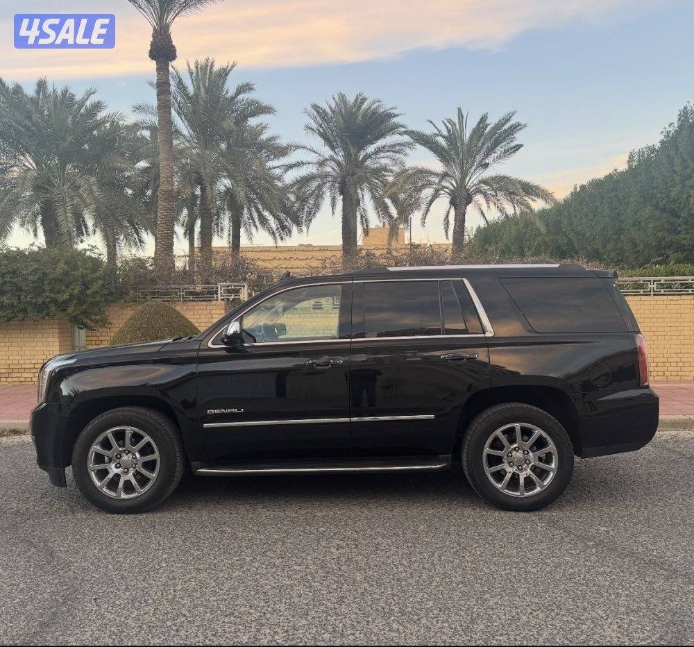 ٢٠١٧ دنالي6