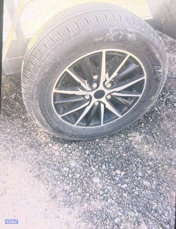 للبيع يا ماها ولفرين 2023 مصبوغ بالكامل لون ترابي شرط الفحص جاهز6