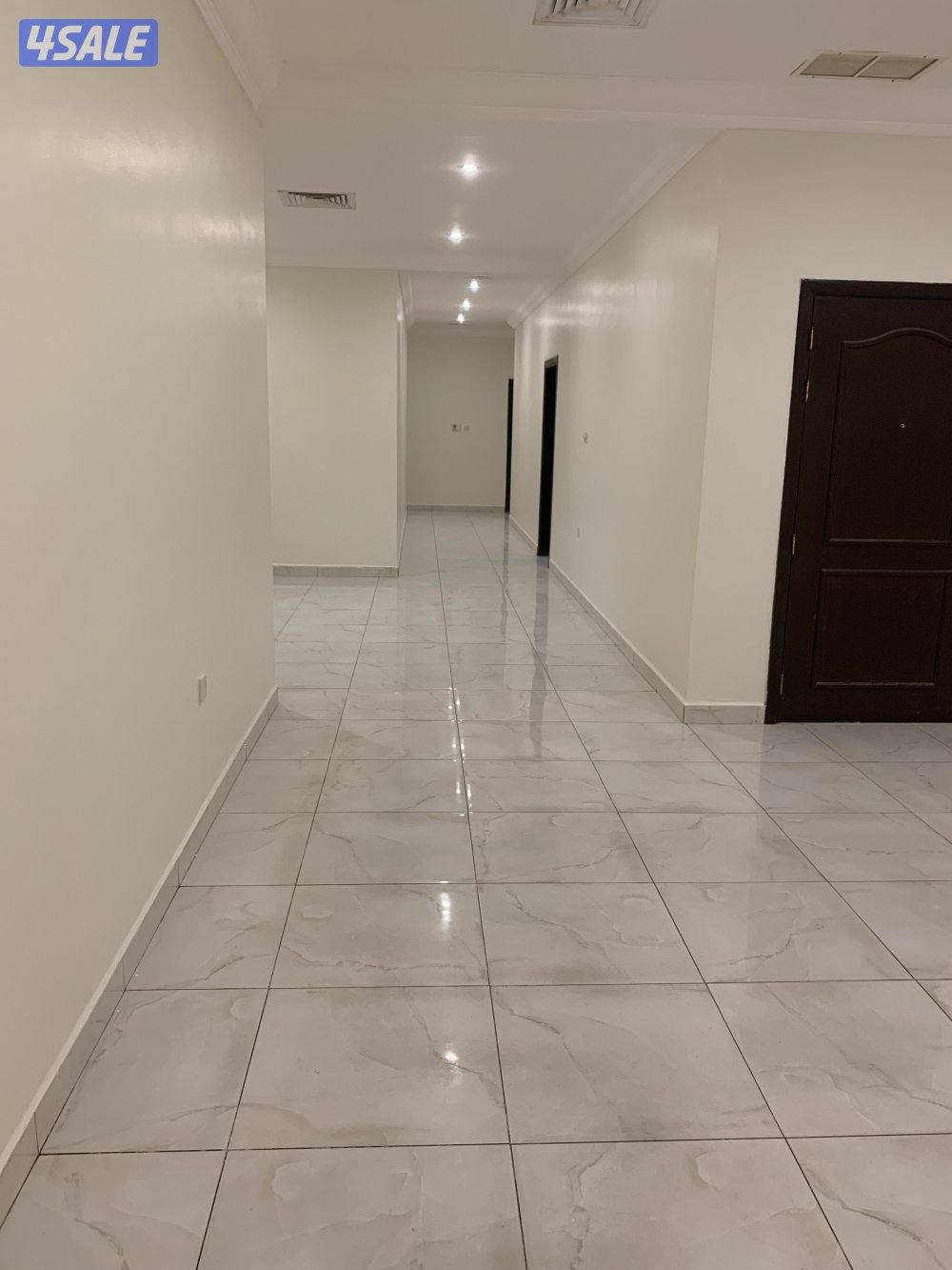 ابوفطيرة ق 50