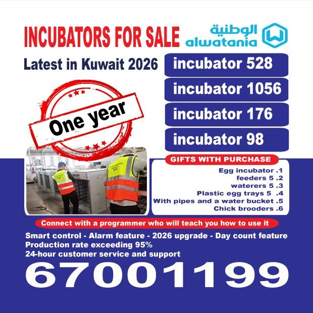 الوطنية للدواجن2