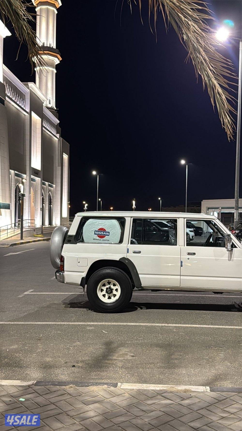 سفاري سلوقي 952