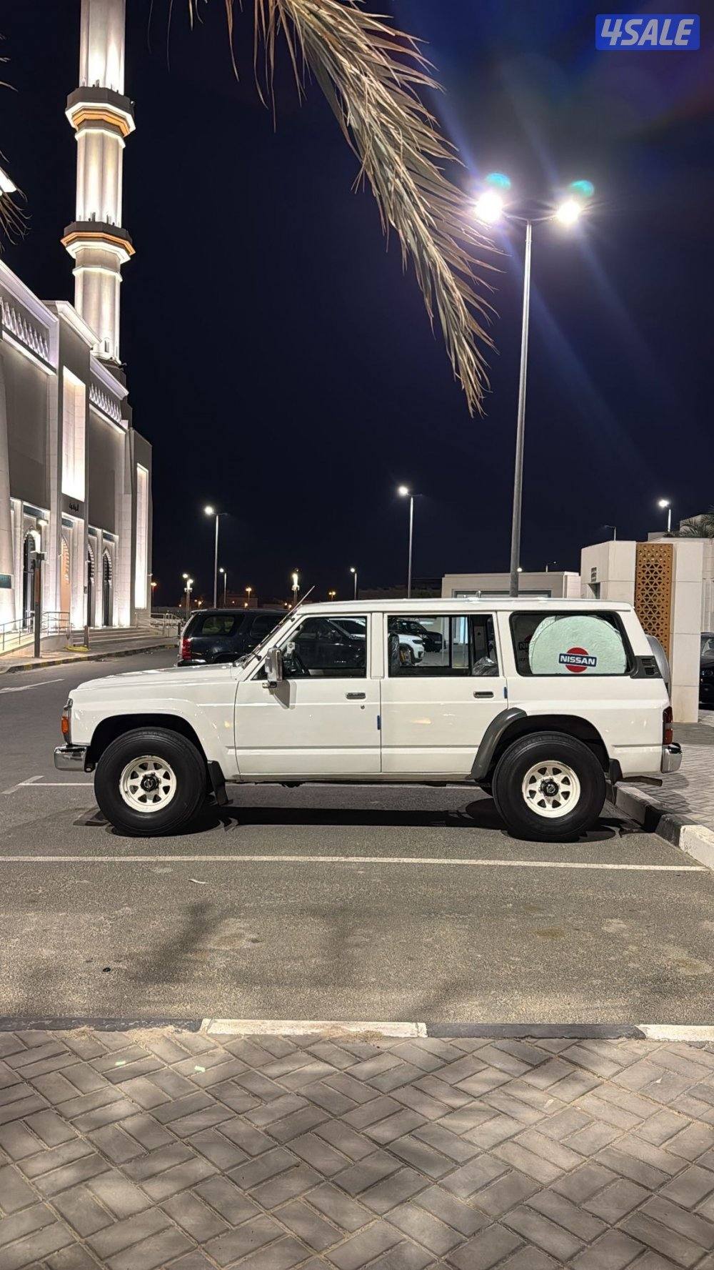 سفاري سلوقي 953