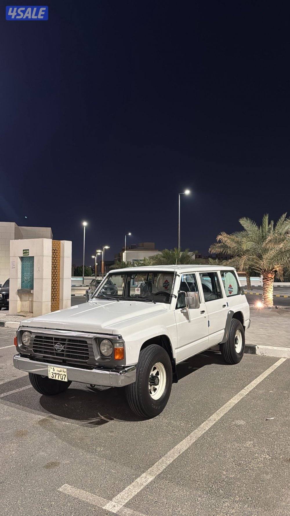 سفاري سلوقي 954