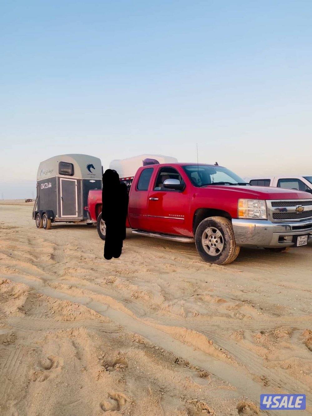 نقل خيل لجميع مناطق الكويت ويوجد ايجار خيل0