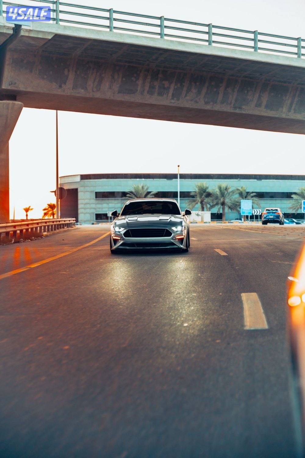 للبيع موستنق ٢٠١٩ سوبر جارج كامل المواصفات4