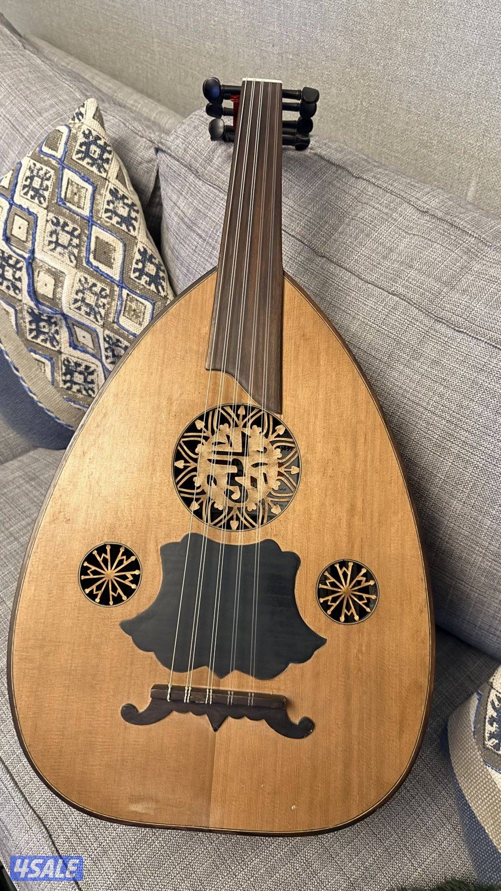 للبيع  عود  سالمين0