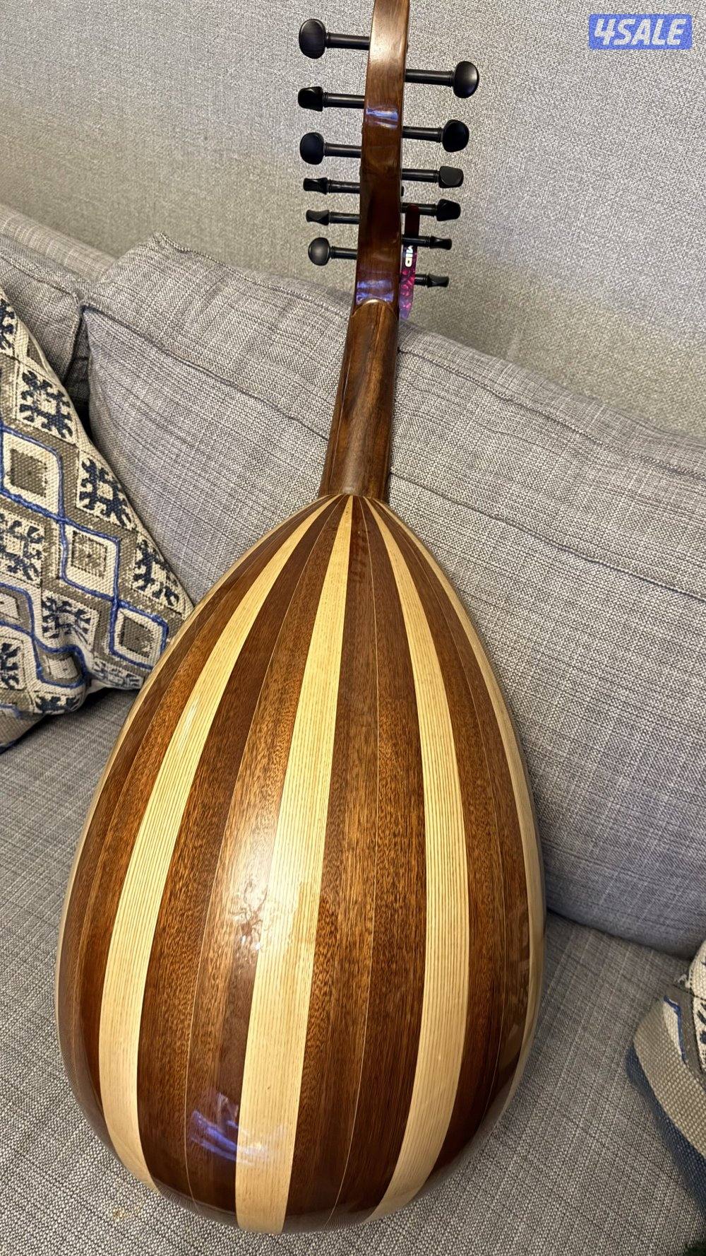 للبيع  عود  سالمين1