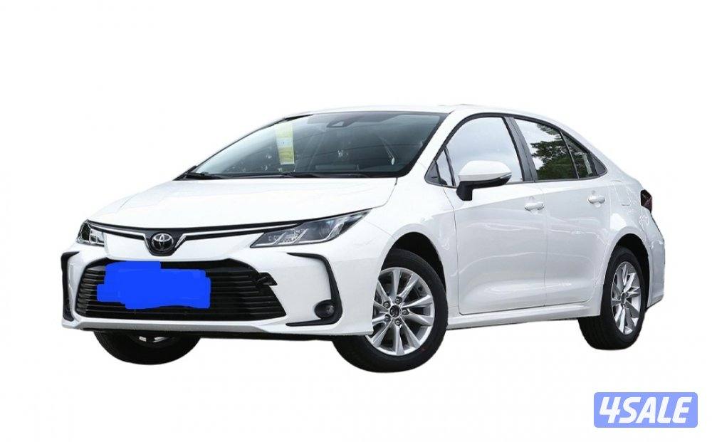 مصري معي ليسن خاصة أبحث عن عمل0