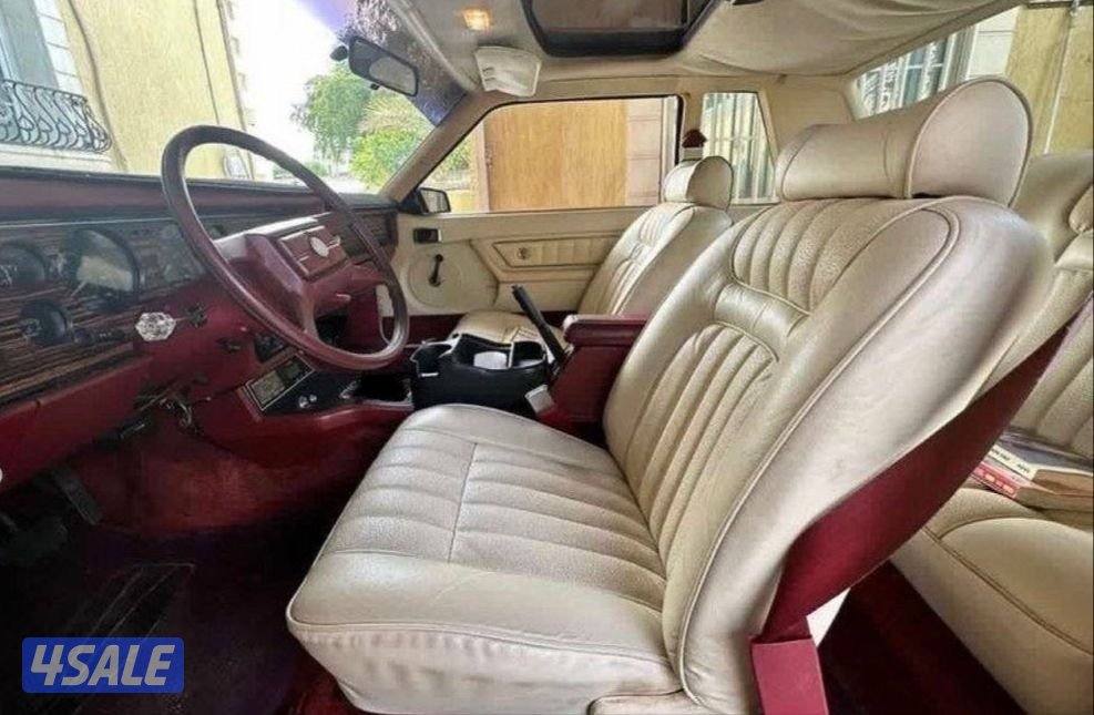 فورد مستنق2