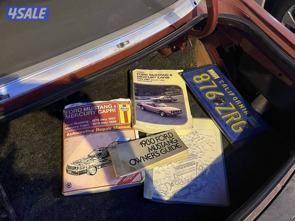 فورد مستنق4