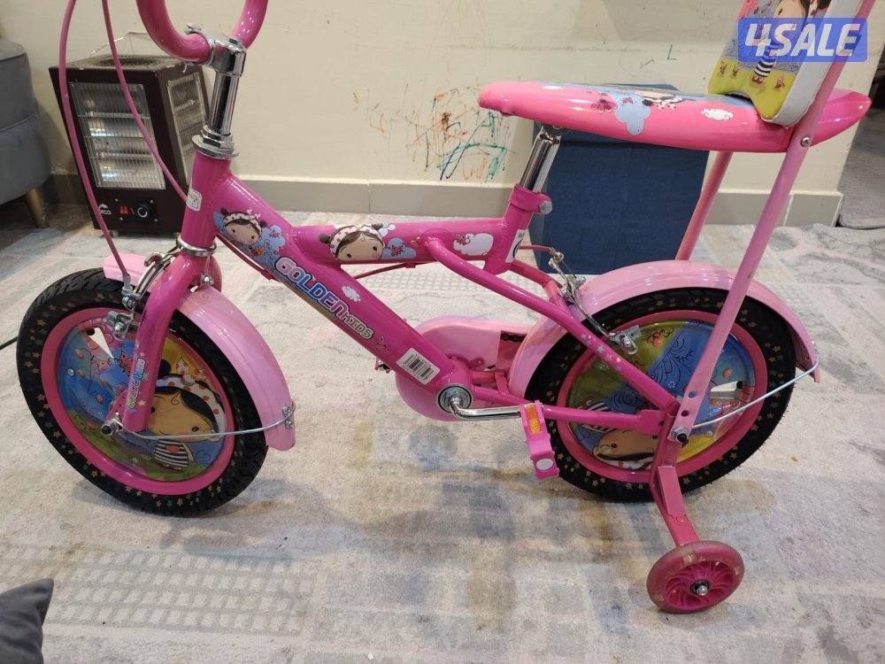 Golden Kids Pink Bicycle with Training Wheels0