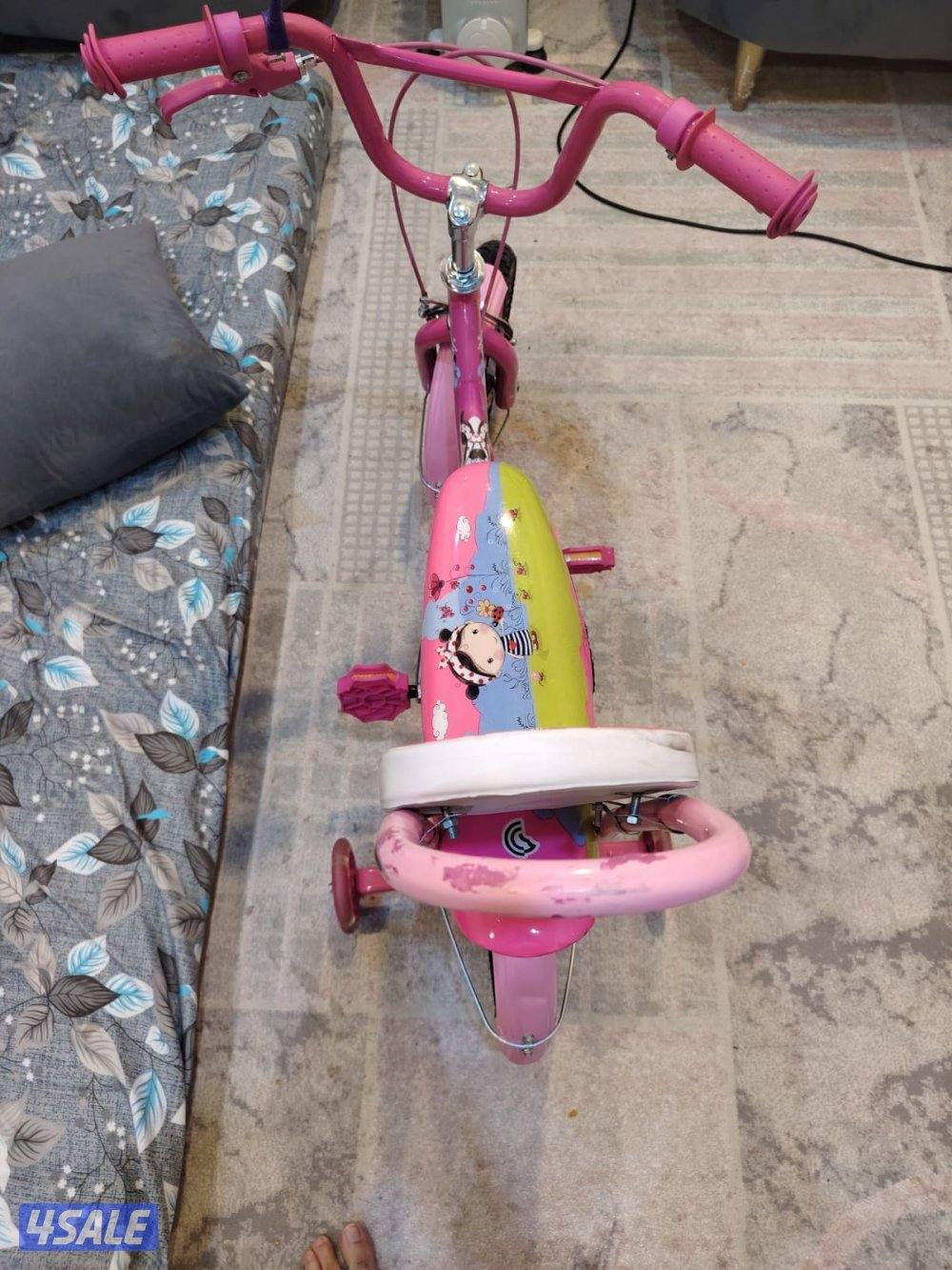 Golden Kids Pink Bicycle with Training Wheels1