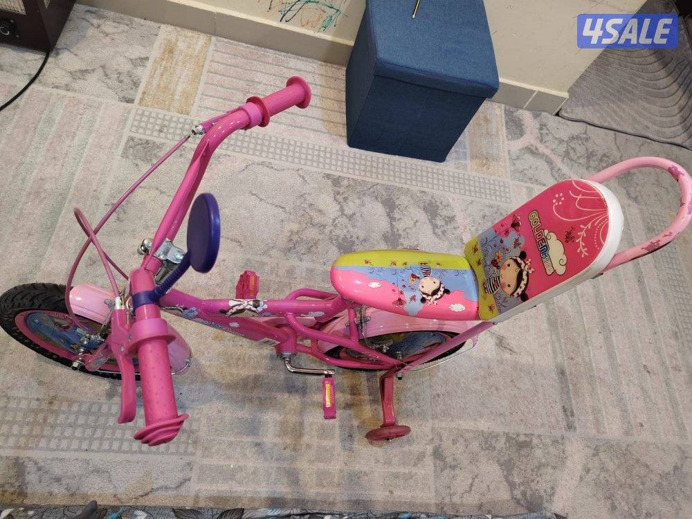 Golden Kids Pink Bicycle with Training Wheels2