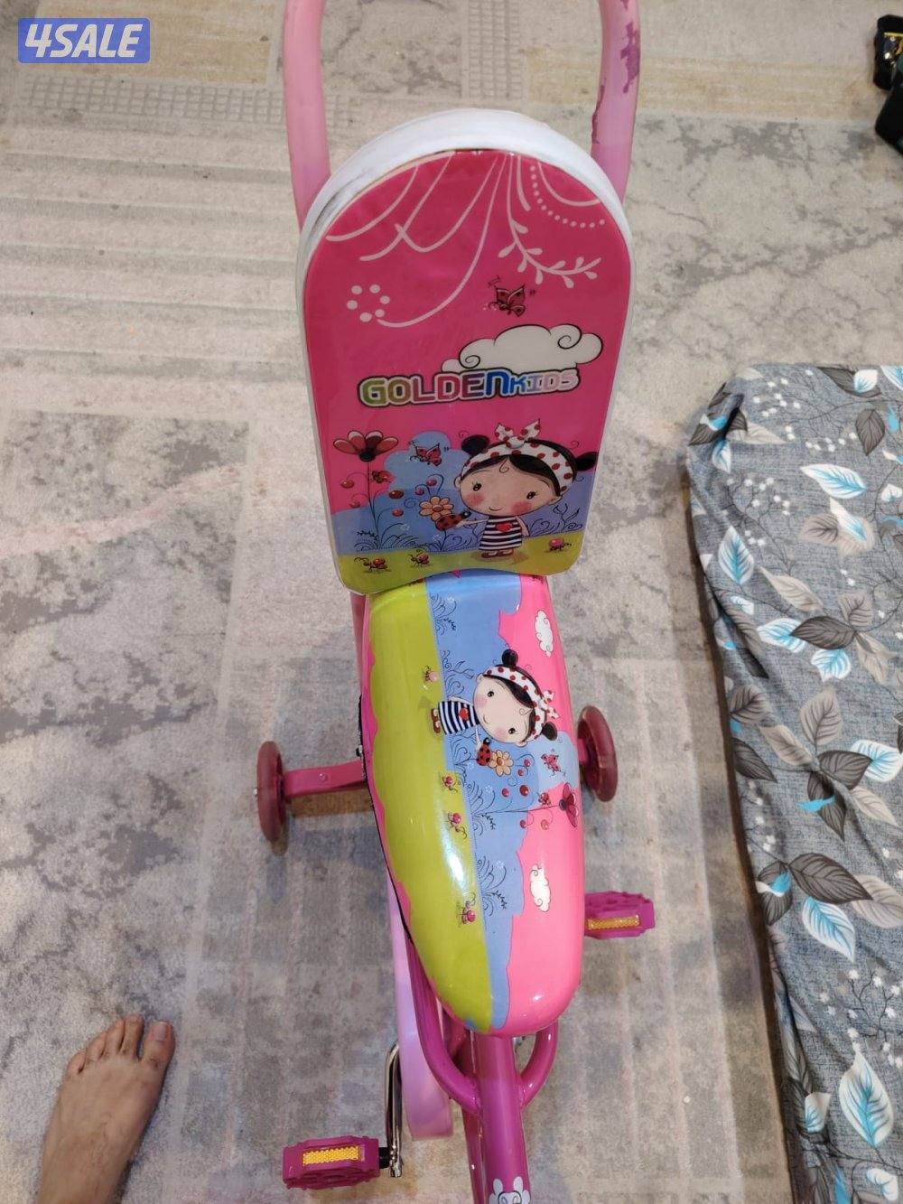 Golden Kids Pink Bicycle with Training Wheels4