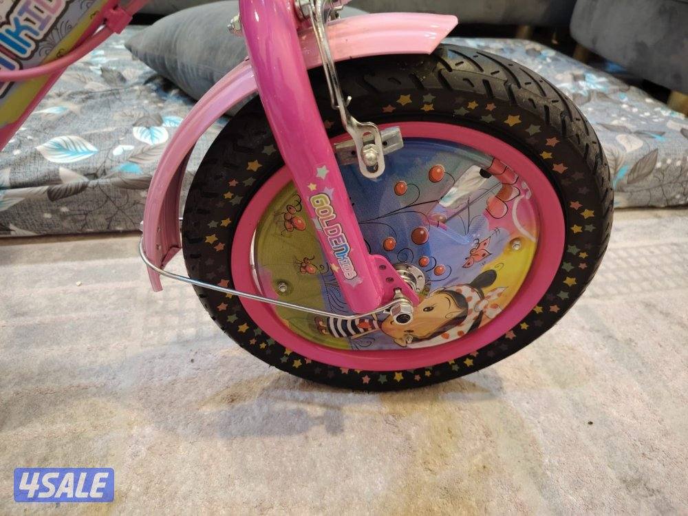 Golden Kids Pink Bicycle with Training Wheels5