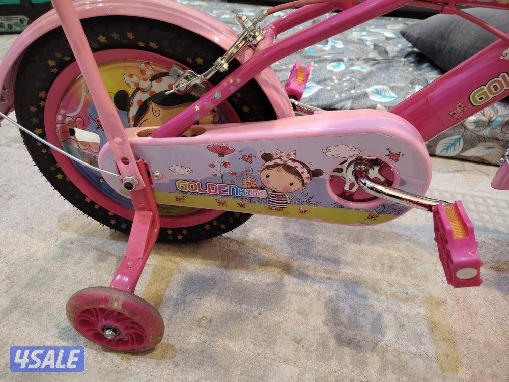 Golden Kids Pink Bicycle with Training Wheels6