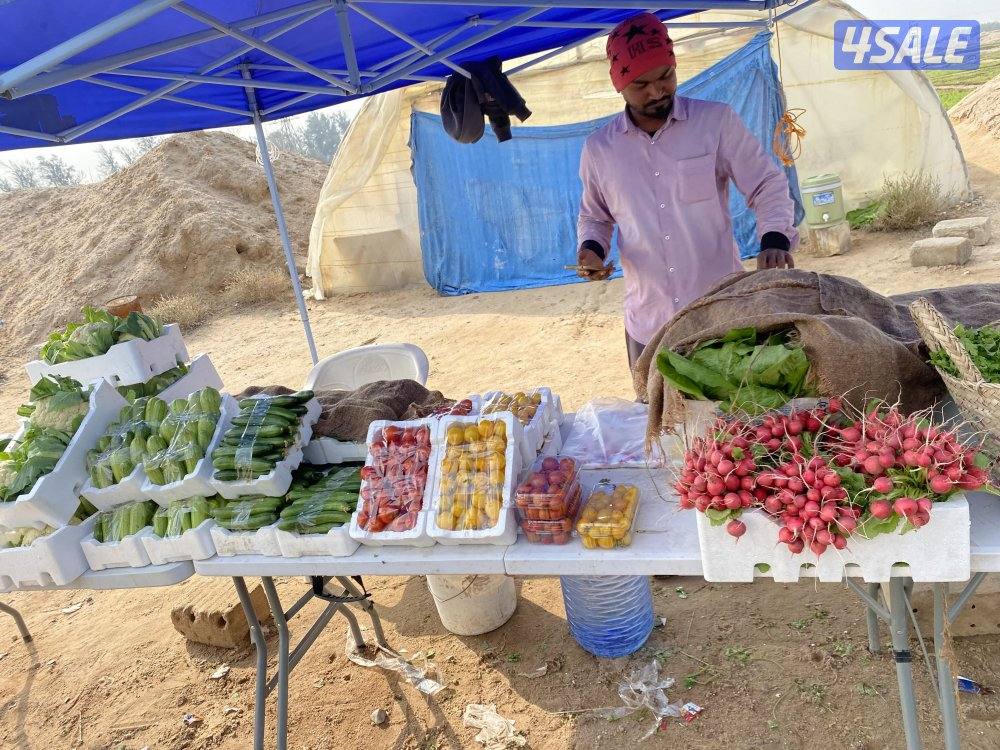 لبيع طقم 16/45/2053