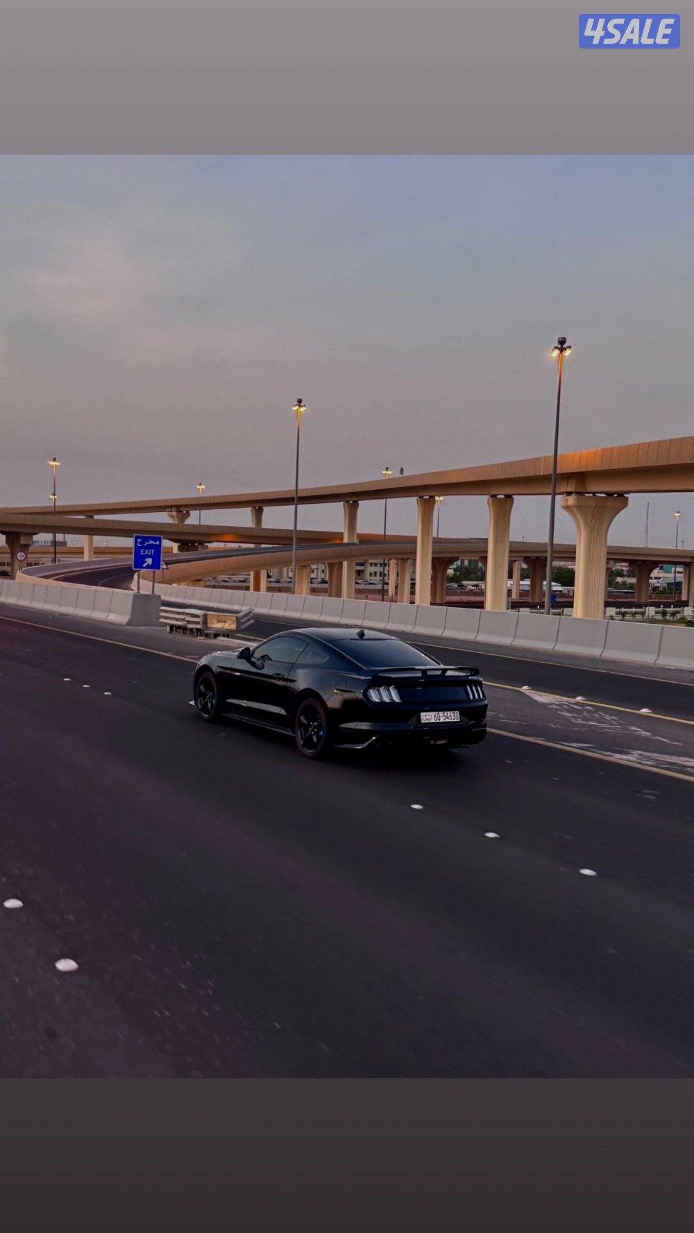 للبيع موستنق 20211