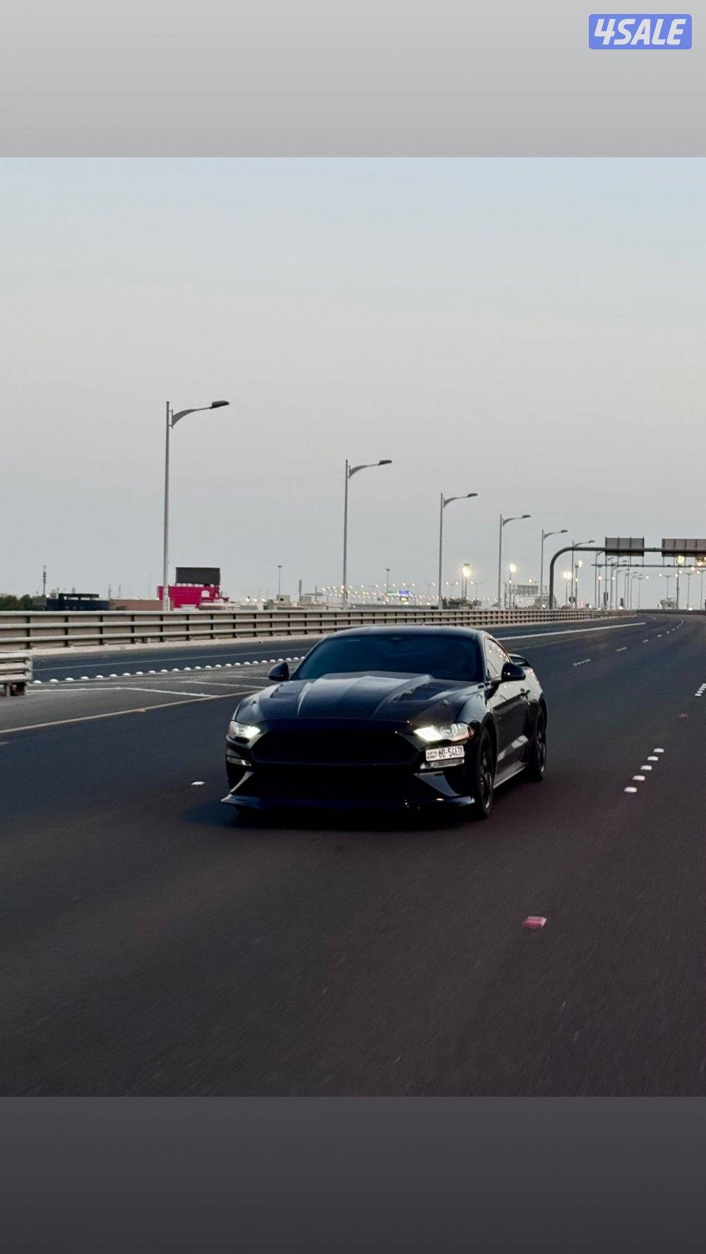 للبيع موستنق 20210