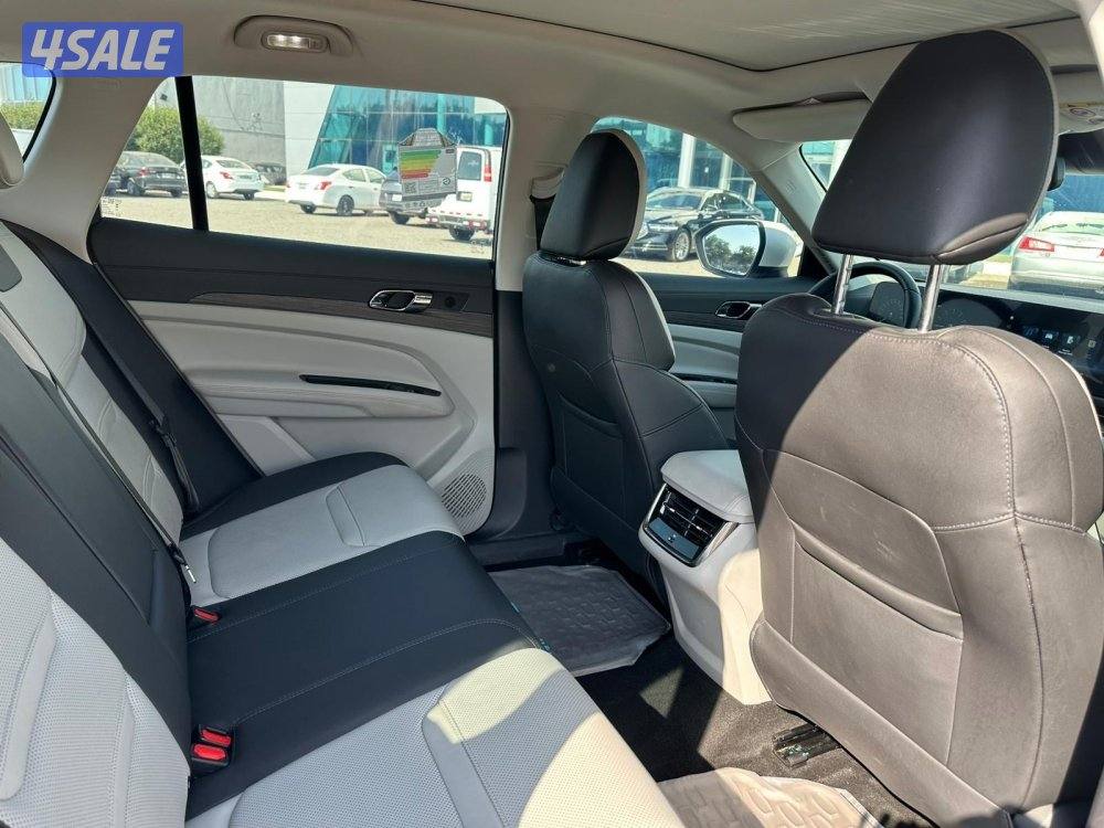 للبيع جييب فورد تيرتوري طراز 20234