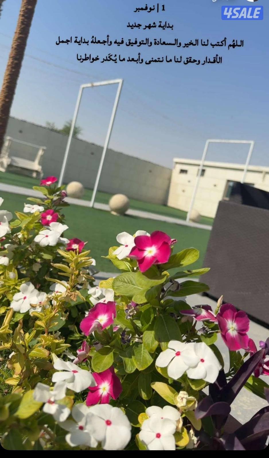 استراحه اراكان اجار يومي فقط6