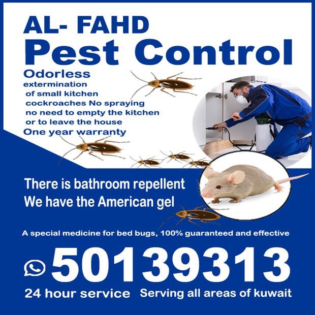 احمد / مشترك بحث0