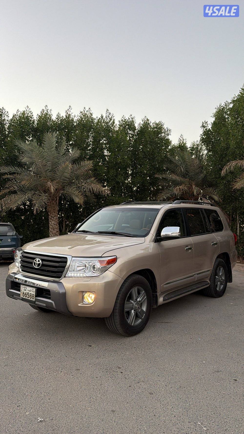 شرط الفحص صبغ الوكاله  بحاله جيده1