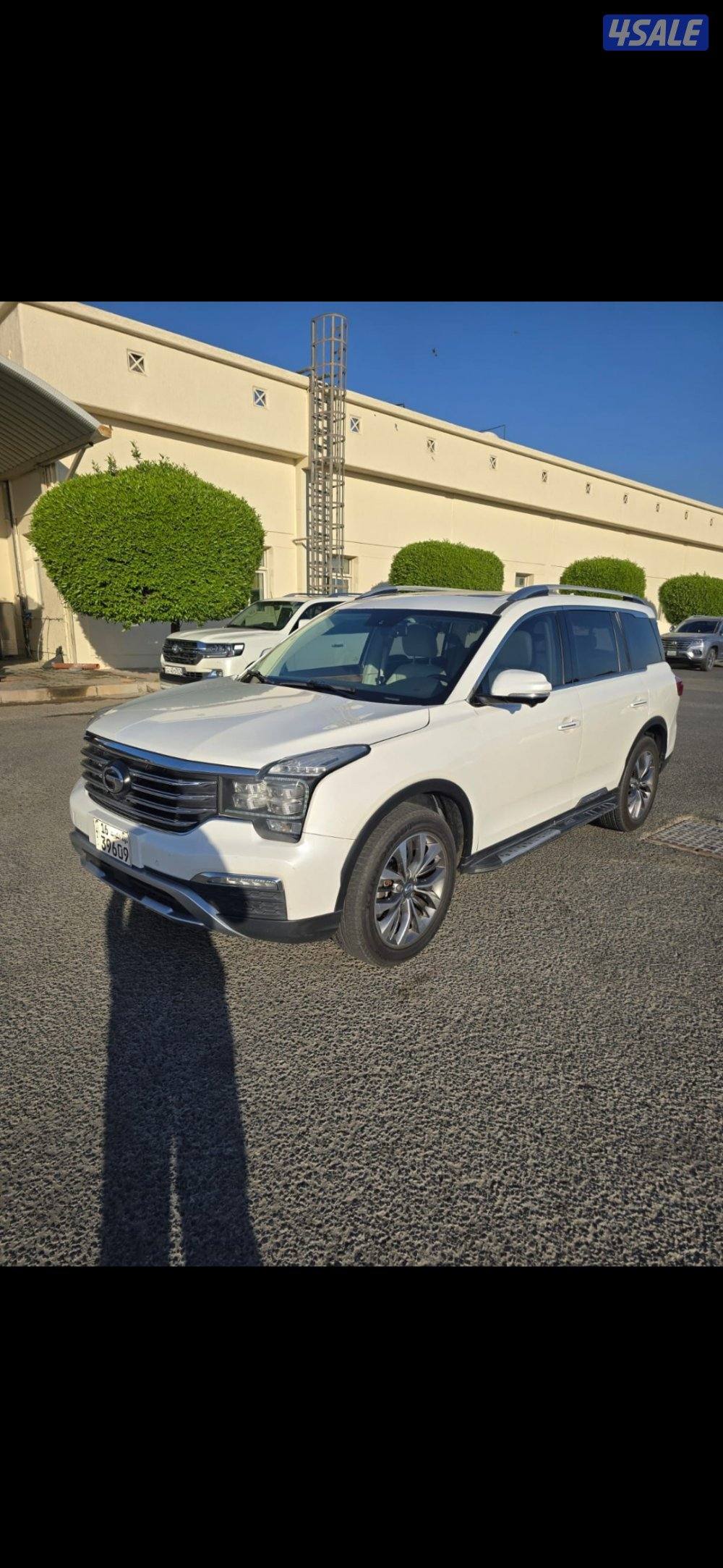 2019 صبغ وكالة عداد 142 ألف1