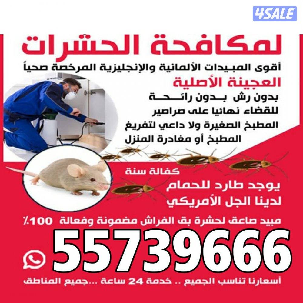 مكافحة حشرات بدون رائحه0