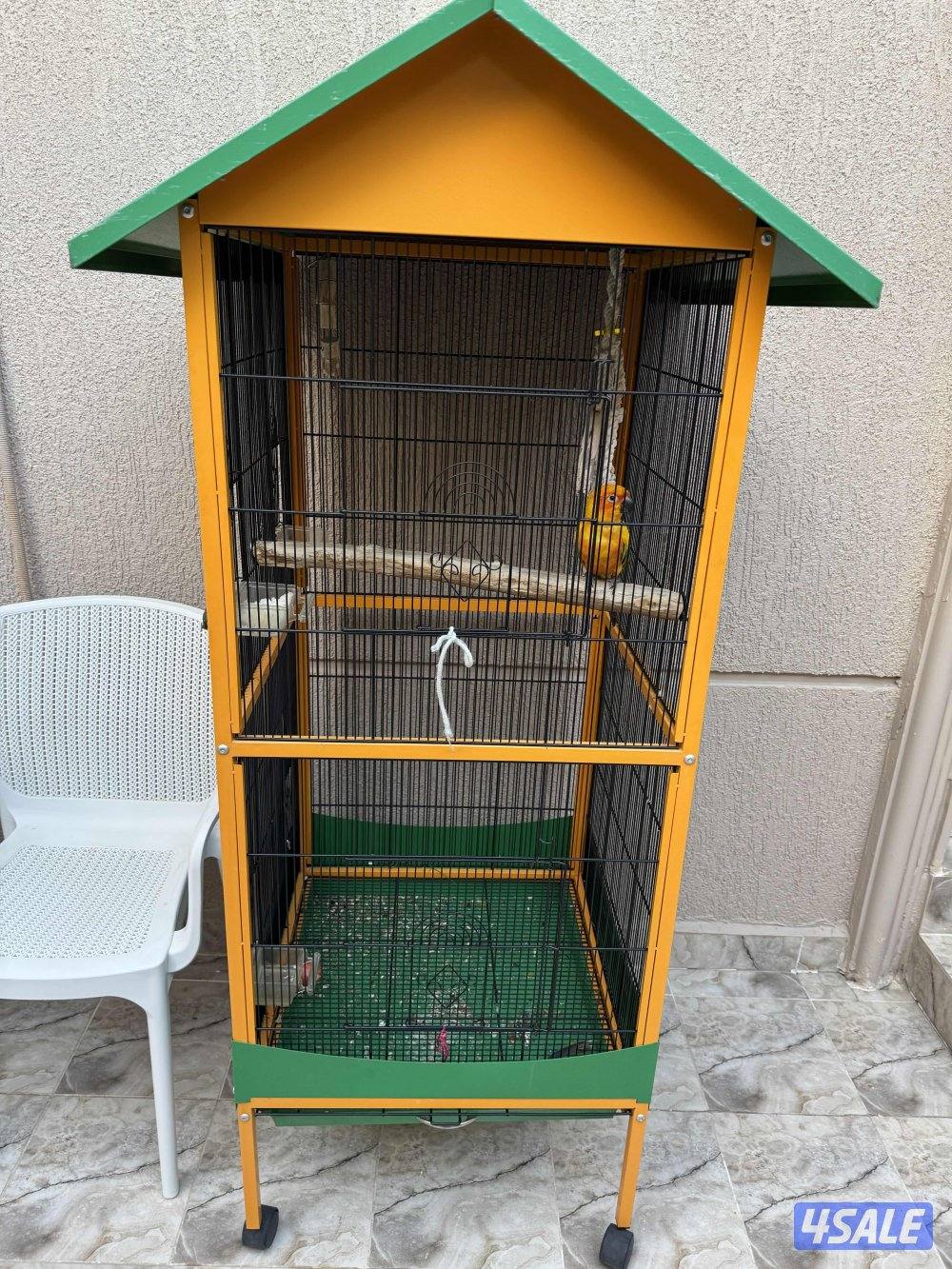 طائر صن كنيور* قفص1