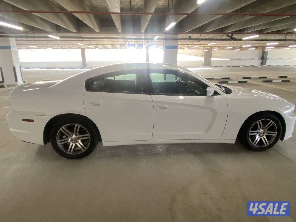 دوج شارحر  مديل 2013 ماشيه 3404