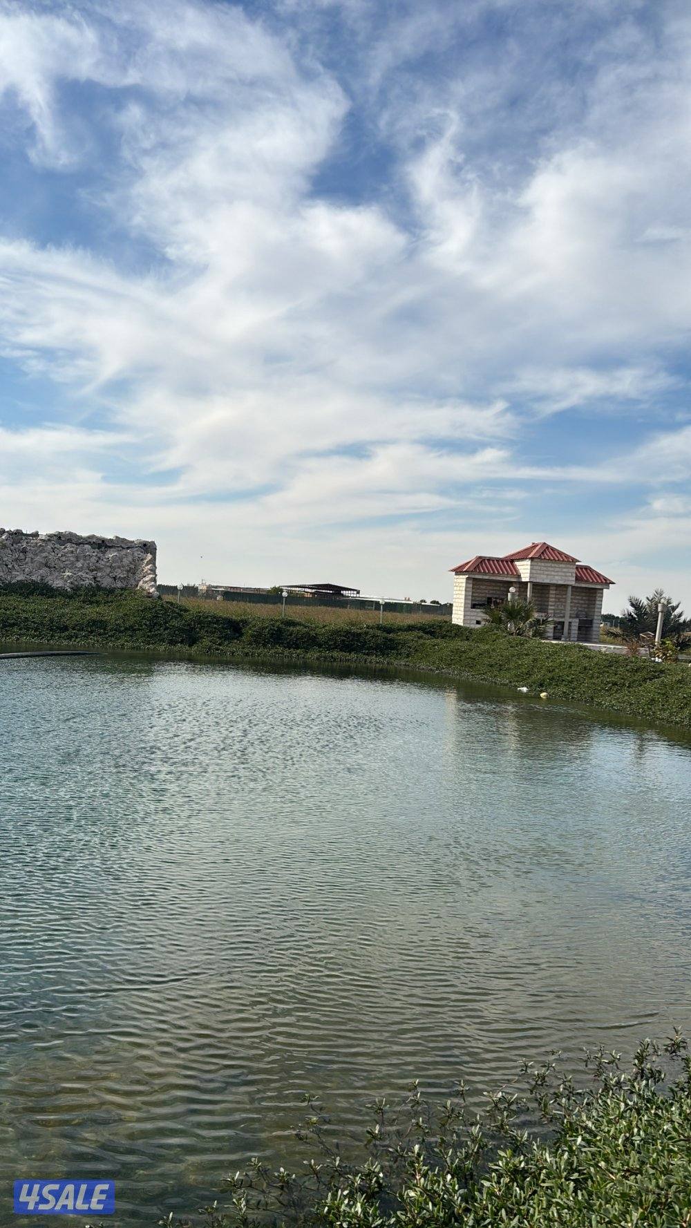 ايام معدوده شهر يناير مزرعة VIP15