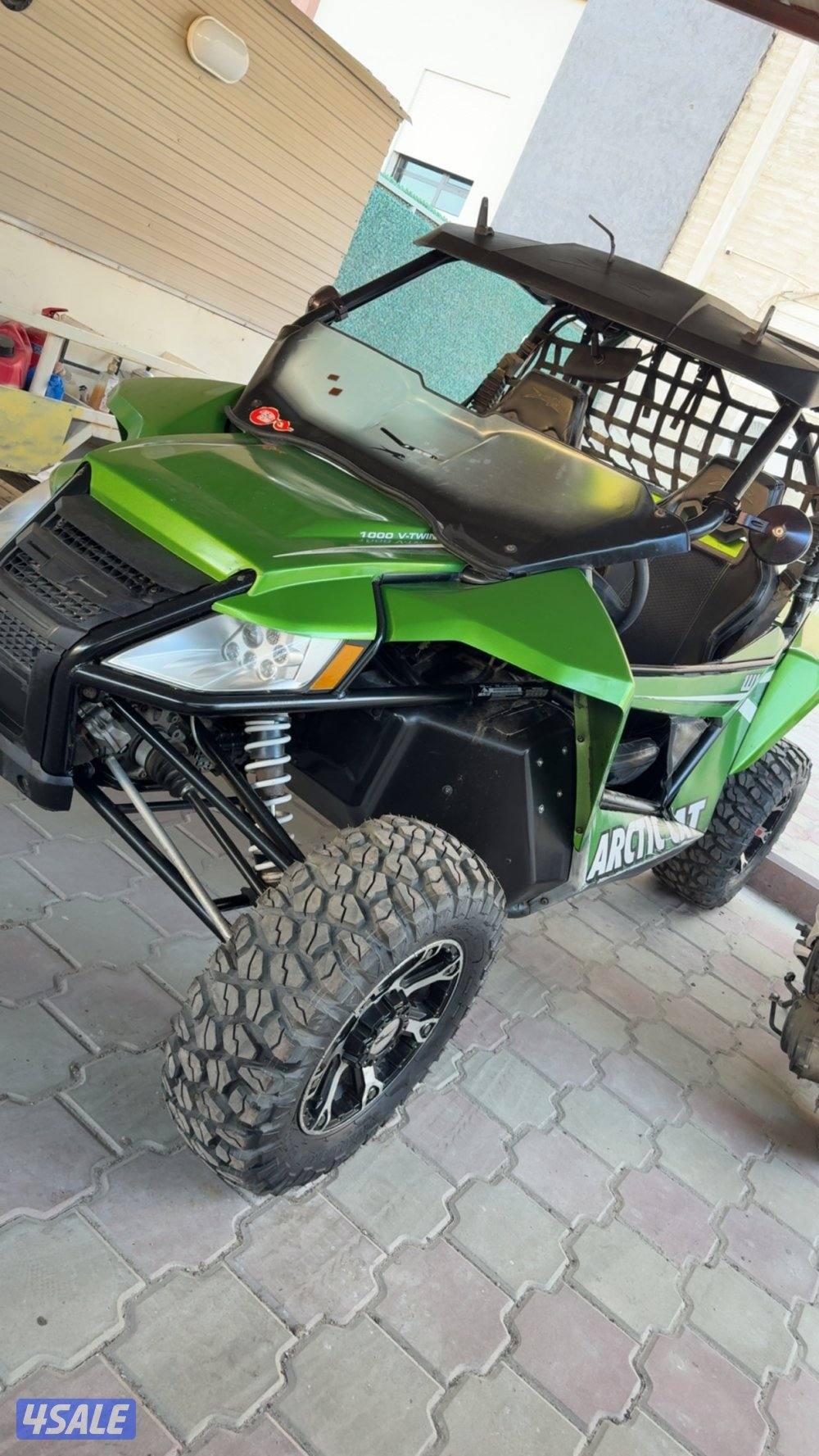 Arctic cat3