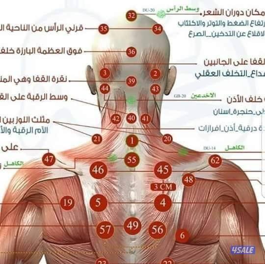حلاق ومساج وحجامة وإدارة معاهدوشركات التجميل والسبا13