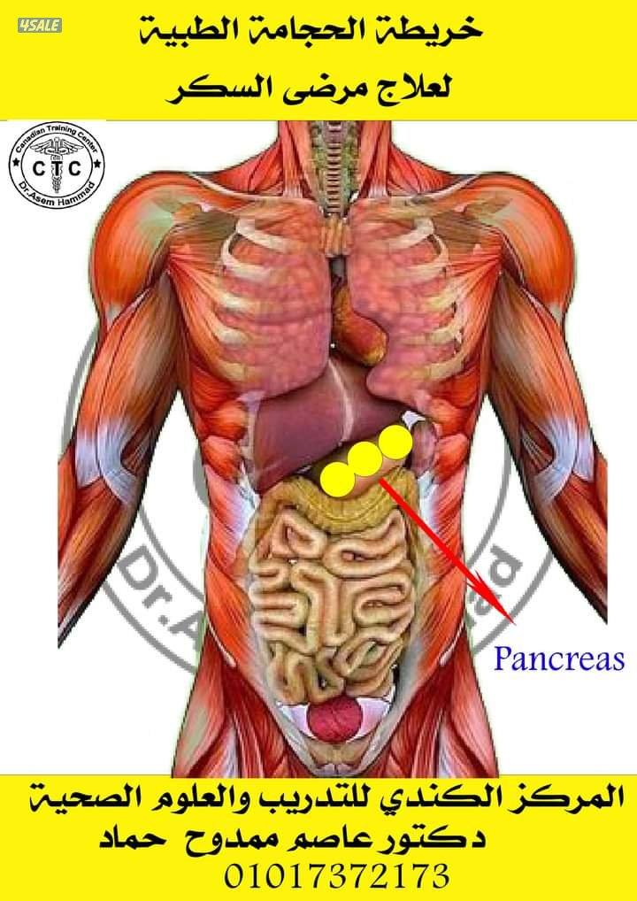 حلاق ومساج وحجامة وإدارة معاهدوشركات التجميل والسبا15
