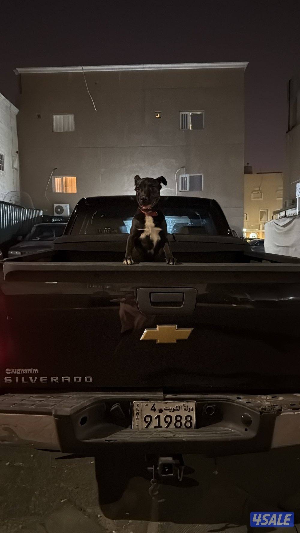 الاندلس و فردوس و عارضية و منقف و عبدالله المبارك و المطلاع3