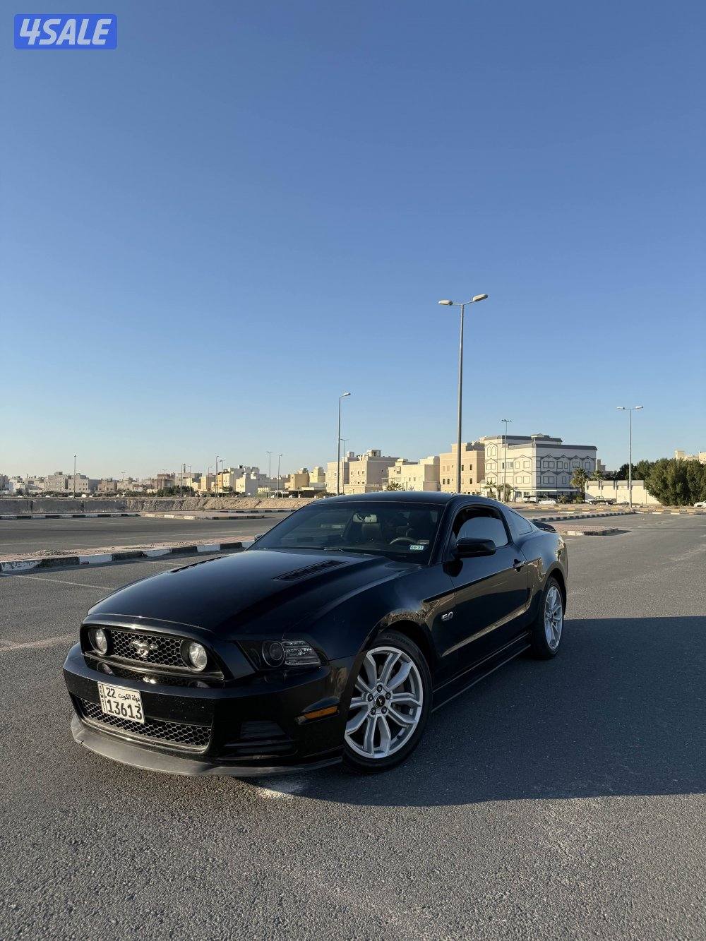 Mustang GT 20141