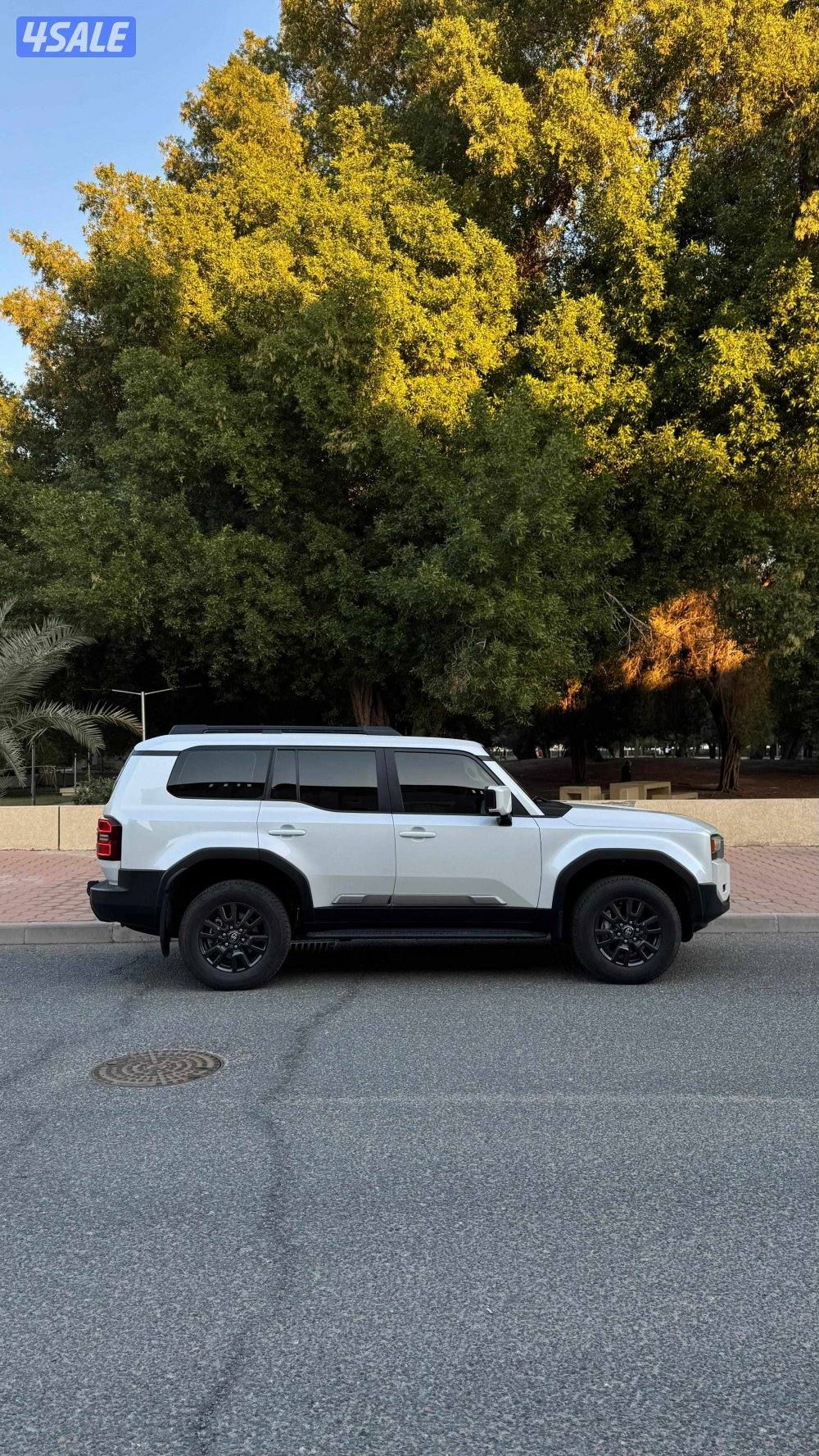 فتحه جلد بيج  ابيض عداد 54 مديل 2024 على الكفاله الى ١٠٠ كيلو حمايه فل2