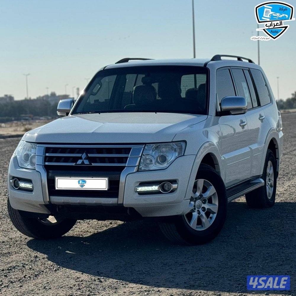 باجيرو  2022 صبغ الوكالة2