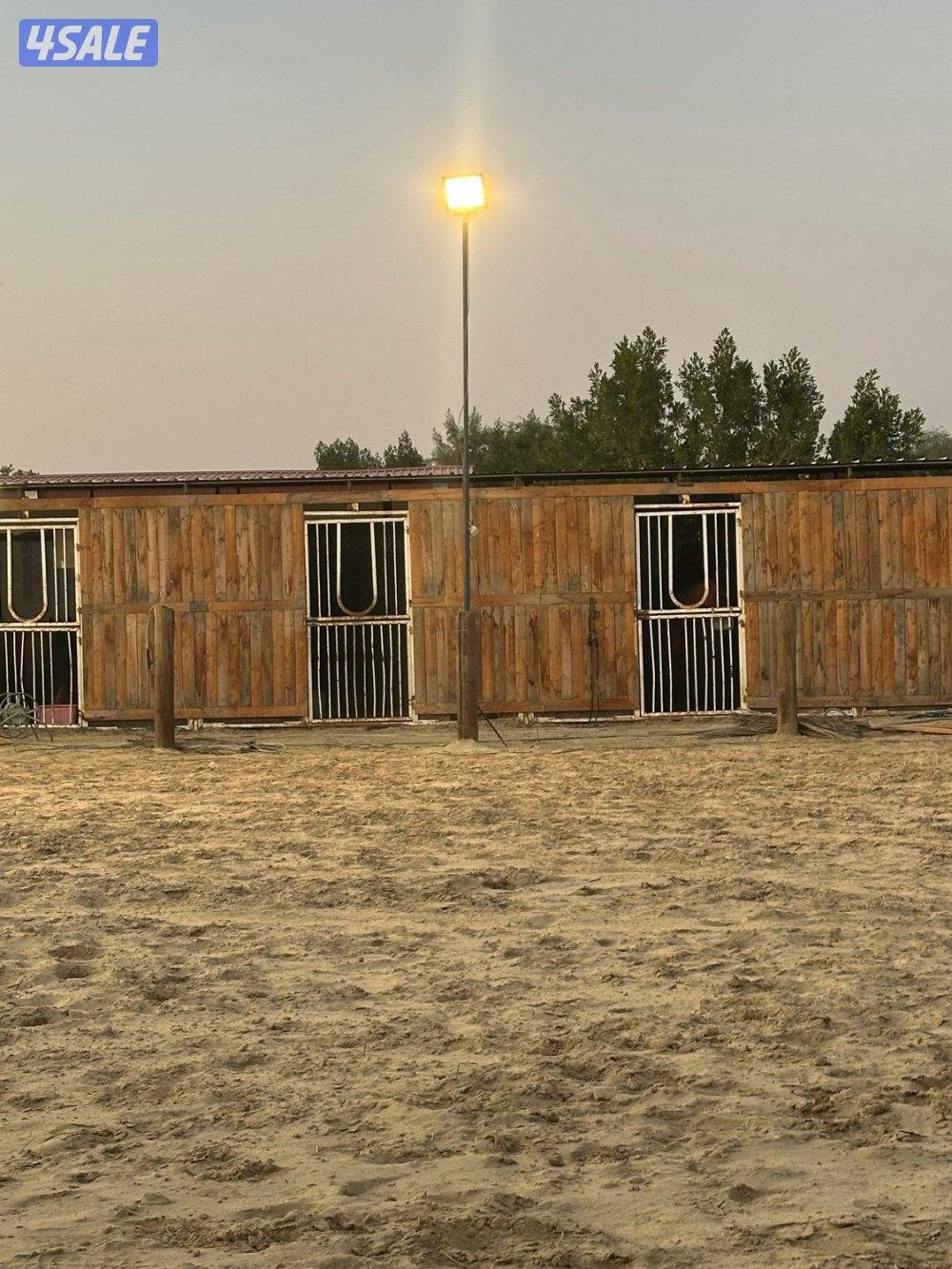 مربط عند ستاربكس ومستشفى الخيل🐎1