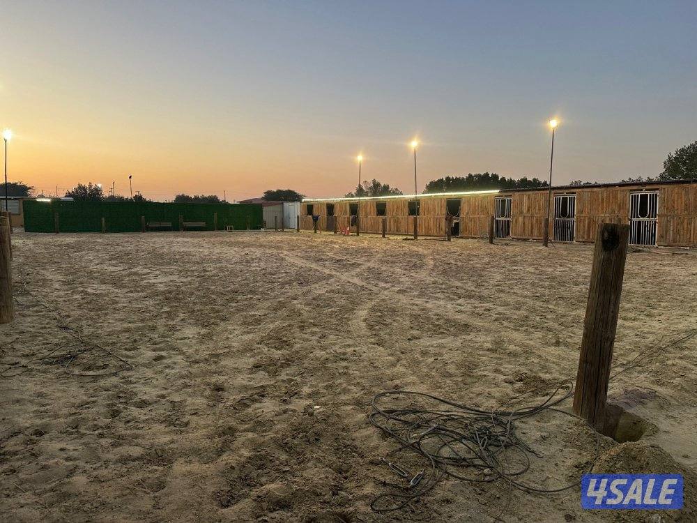 مربط عند ستاربكس ومستشفى الخيل🐎0