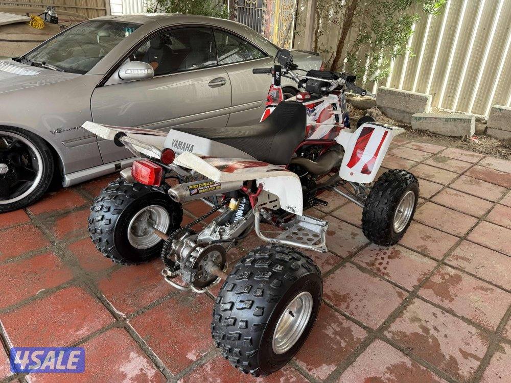 للبيع بانشي نادر💎2