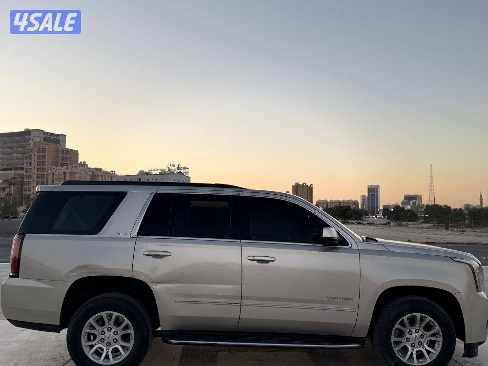 صبغ الوكالة بالكامل2