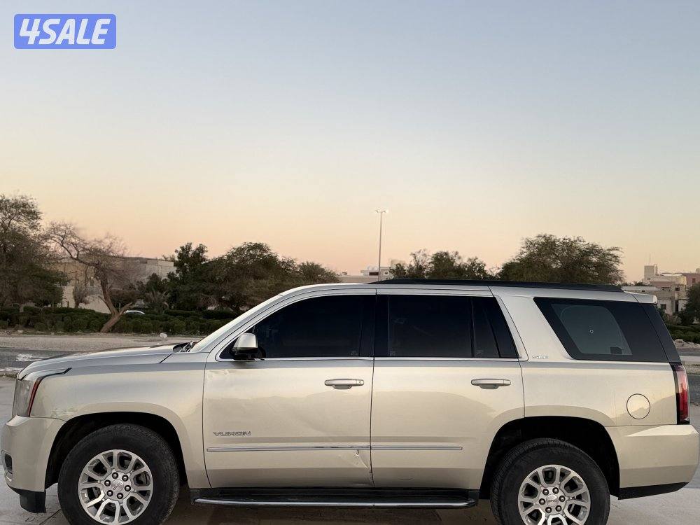 صبغ الوكالة بالكامل6