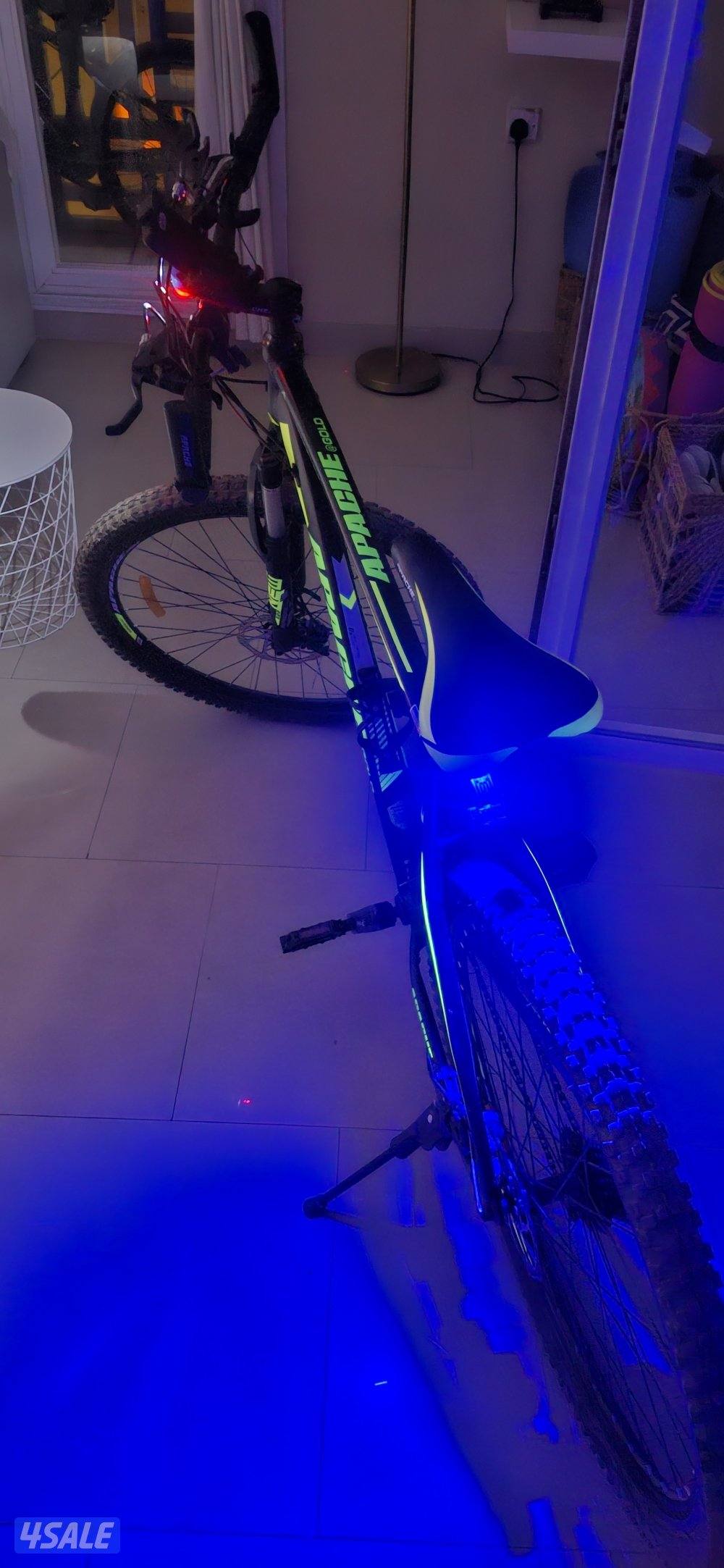 APACHE GOLD, AMERICAN BICYCLE1