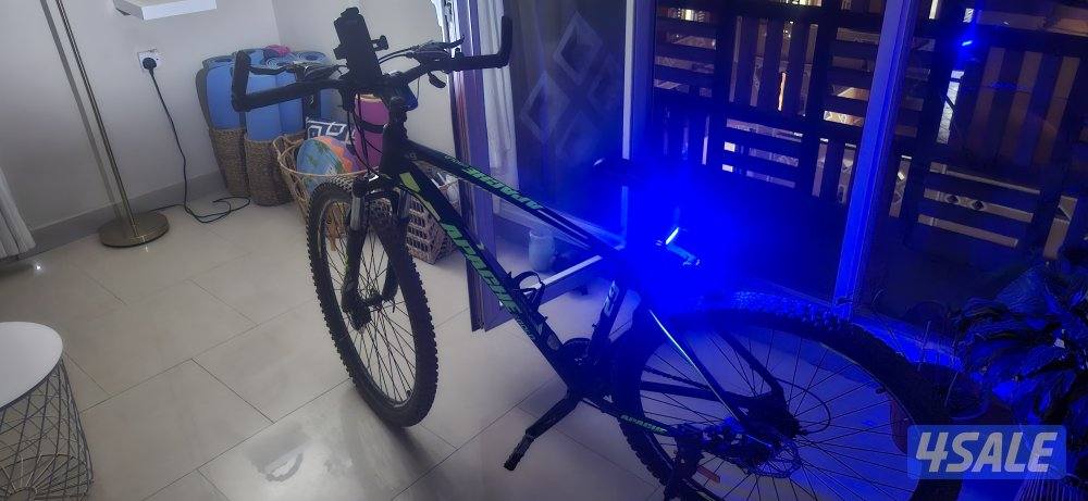 APACHE GOLD, AMERICAN BICYCLE3