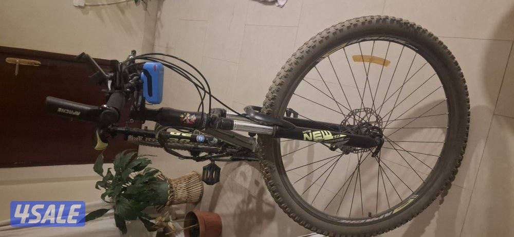 APACHE GOLD, AMERICAN BICYCLE6