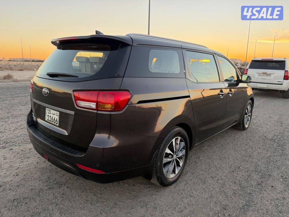 كرنفال 2018 شرط فحص والنظافه1